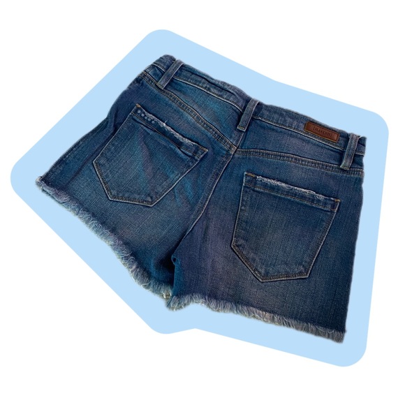 Size 26 Blank NYC Distressed Shorts. Flattering fit. Well made. - Picture 2 of 2